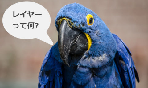 Gimp レイヤーの作成と基本の操作方法 カンデザweb