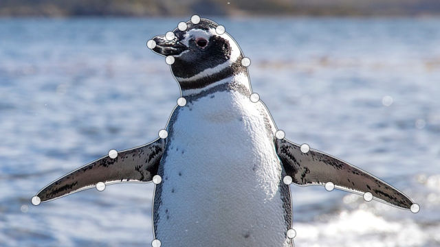 パスでペンギンの輪郭をなぞる