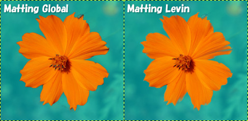 Matting GlobalとMatting Levinの比較