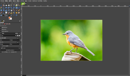 GIMP：オレンジ色の小鳥画像の読込み