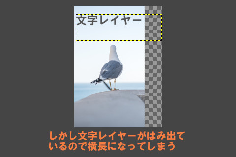 文字レイヤーがはみ出ているので横長になってしまう