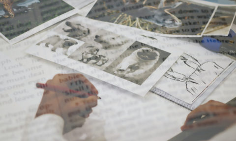 Gimp 描画ツールの設定項目について解説 Citrus Designs