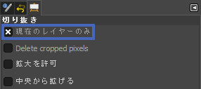 現在のレイヤーのみ
